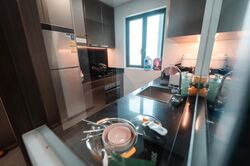 Normanton Park (D5), Apartment #470780011